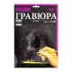 Гравюра А4 Danko Toys 297х210 мм ГР-А4-05с ДТ-ОО-09-45