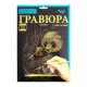 Гравюра А4 Danko Toys 297х210 мм ГР-А4-05с ДТ-ОО-09-45