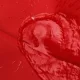 Дах для торгового намету 3х4,5 м Дах тент на розсувний намет вологозахищений