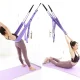 Гамак-гумка для йоги Air Yoga Rope 521-12 Підвісний гамак для йоги та фітнесу Фіолетовий