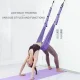 Гамак-гумка для йоги Air Yoga Rope 521-12 Підвісний гамак для йоги та фітнесу Фіолетовий