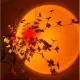 Світильник проекційний з ефектом заходу сонця Sunset Lamp Чорний Лампа LED для селфі WOW Pro