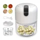 Міні-подрібнювач для продуктів з USB Intelligent Electric Garlic Machine RD-1019 Портативний блендер подрібни