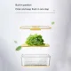 Пластиковий контейнер для зберігання продуктів у холодильнику Fresh Box 616-SY-7003 Коробка для зберігання