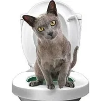 Набір для навчання котів до унітазу Citi Kitty Original TV-20 Накладка на унітаз для котів