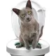 Набір для навчання котів до унітазу Citi Kitty Original TV-20 Накладка на унітаз для котів