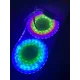 Гнучкий світлодіодний неон RGB на 5 м з пультом та блоком живлення SF-12VIC Декоративна стрічка в силіконі