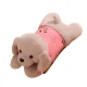 Затишна електрична муфточка-грілка для рук у вигляді Пісика TaoBao Грелка для зігрівання рук