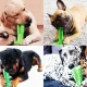 Жувальна іграшка для собак Dog Chew Brush Розмір L Іграшка для здорових зубів собаки