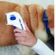 Електричний гребінець для тварин Flea Doctor з функцією знищення бліх Фурмінатор для тварин