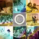 Лампа-вентилятор для патрона E27 з RGB підсвічуванням та пультом CHP-008 Світлодіодний стельовий вентилятор