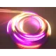 Світлодіодна силіконова стрічка з блоком живлення LED Neon Multi 220V 5м Гнучка світлодіодна стрічка RGB