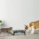 Миска подвійна на складній підставці для собак та котів Pet Bowl Set Миска для домашніх тварин