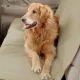 Чохол водонепроникний 142 х 142 см на заднє сидіння PetZoom Захисний килимок в машину для перевезення тварин