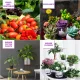 Ультрафіолетова фітолампа для рослин 4 голови 60 Вт USB Лампа з таймером та регулюванням яскравості
