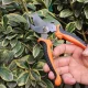Набір садових інструментів у кейсі 14 в 1 Gardening Set ART 005-3 Універсальний садовий набір
