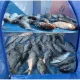 Кошик-сітка для сушіння риби грибів та фруктів 40х40х75см Триярусна Підвісна складана сушарка для продуктів