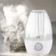 Ультразвуковий зволожувач повітря на 2.1 л з регулятором Ultrasonic Humidifier HD-2107