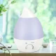 Зволожувач повітря на 4 л з LED підсвічуванням та регулятором Wild Wind Білий