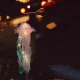 Підвісний світильник-ліхтар 46 см на батарейках у формі Медузи Jellyfish Lamp