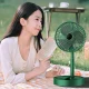 Вентилятор настільний з телескопічною ніжкою та живленням від USB Folding Storage Fan Зелений