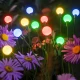 Комплект садових світильників 70 см на сонячній панелі Світлячки 6 LED 2 шт.