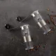 Ручна кавомолка зі скла та нержавіючої сталі 13,5х5 см Coffee Grinder