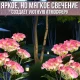 Садовий світильник 75 см Гортензія 3-голова на сонячній панелі 2 шт.
