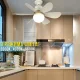 Стельова LED лампа з вентилятором, 6 лопатями та 3 режимами світу 30W | E27 AY1056