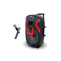Акустична переносна колонка ZXX-1503 60Вт 15