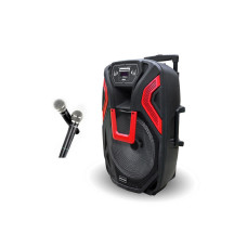 Акустична переносна колонка ZXX-1503 60Вт 15