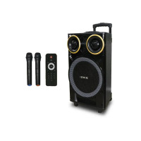 Акустична переносна колонка ZXX-9191 60Вт 12