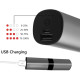 Бездротові навушники Bluetooth AirTwins S2 з боксом для заряджання Silver