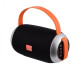 Портативна колонка з ручкою Bluetooth TG-112 з FM радіо та USB