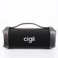 Портативна Bluetooth Колонка SPD CIGII F61 BT підходить для ПК, ТV