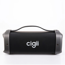 Портативна Bluetooth Колонка SPD CIGII F61 BT підходить для ПК, ТV