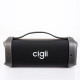 Портативна Bluetooth Колонка SPD CIGII F61 BT підходить для ПК, ТV