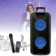 Переносна колонка Bluetooth з двома караоке мікрофонами та пультом Goldteller GT-6067