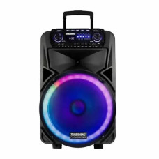Портативна колонка на акумуляторі з мікрофонами та Bluetooth з ручкою Temeisheng SK-015
