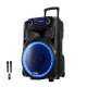 Портативна колонка на акумуляторі з мікрофонами та Bluetooth з ручкою Temeisheng SK-015