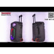 Портативна акумуляторна колонка Temeisheng TMS-1515 з мікрофонами на 400W з USB Bluetooth Пульт ДК