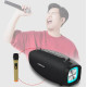 Потужна портативна Bluetooth колонка Hopestar H1 PARTY з бездротовим мікрофоном