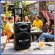 Портативна Bluetooth колонка з двома мікрофонами та FM радіо Su-Kam BT 120D/212D
