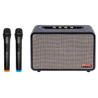 Якісна акустична колонка з 2 радіомікрофонами Temeisheng MX-0503 Портативна Bluetooth колонка