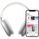 Bluetooth навушники накладні з чохлом та кабелем зарядки FG231110033P-1 Сірі
