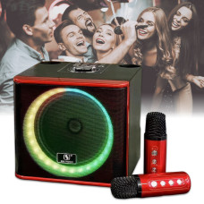 Колонка Bluetooth з 2 караоке мікрофонами та RGB підсвічуванням YS-309
