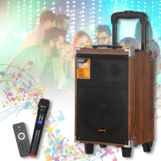 Переносна музична колонка з мікрофоном та пультом B-Q8 Bluetooth