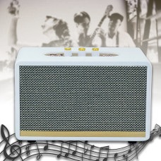 Музична бездротова колонка в стилі Ретро з Bluetooth 5.3 M18II 20Вт