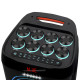 Потужна акустична колонка 100W з пультом та 2 мікрофонами TWS ZXX-5560