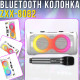Акустична переносна колонка 2х6.5